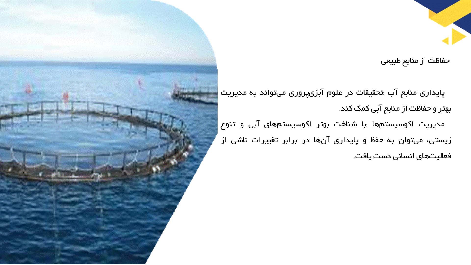 پاورپوینت در مورد اهمیت تحقیق در علوم آبزی پروری